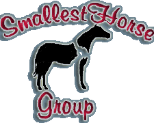 Miniature Horse Gestation Chart