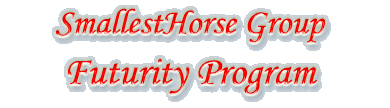 SmallestHorse Group Futurity Program